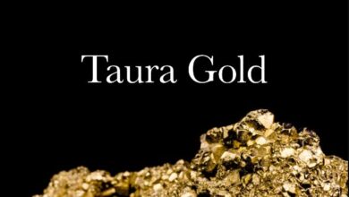 Taura Gold Appoints Paul Criddle to Board of Directors