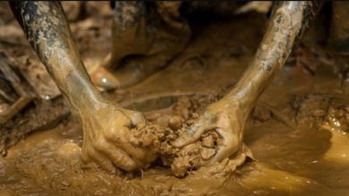 Ghana’s plans to make mining services hub for West Africa on track