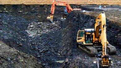 Capital increases full-year revenue guidance