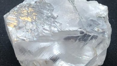 Petra Diamonds to restart mining operations in northern Tanzania