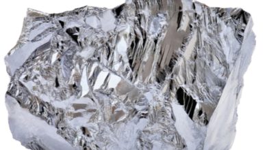 Tembo Nickel issued ultimatum by Tz government