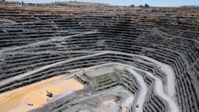 Positive results announced from Thorny River Drilling Program, SA