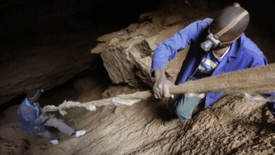 Nigeria loses US $9bn annually to illegal mining