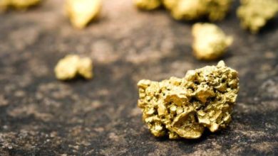 Pure Gold Mining Inc 46.8% potential upside indicated by Peel Hunt LLP