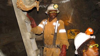 Tanzania mines on track for production guidance