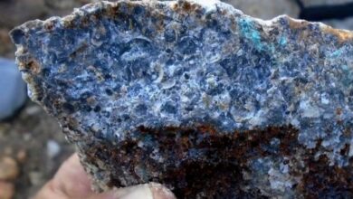 DRC seeks Glencore to end export of raw cobalt