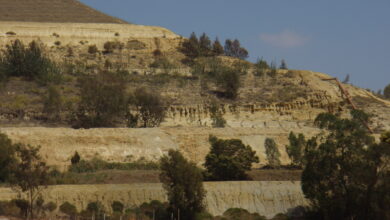 Learning from nature in tailings dam design