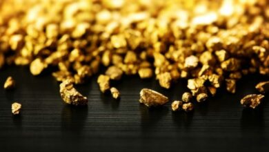 Guskin Gold appoints Samuel Andrews, Esq. to Board of Directors