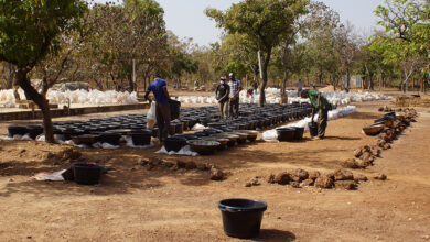 Sarama reports increase in Burkina Faso gold resources