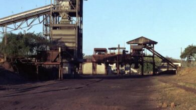 Mozambique grants mining licence for Balama Central graphite project