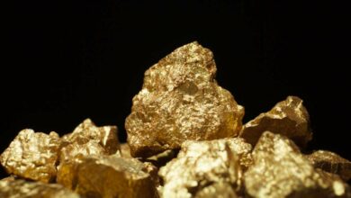 Osino makes new gold discovery at Twin Hills West in Namibia