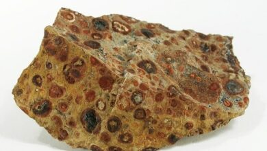 UAE’s EGA to supply bauxite ore to Bosai Minerals Group