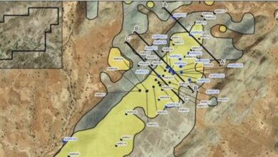 Alpha Exploration reports results at Anagulu gold-copper project in Eritrea