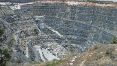 Zimbabwean President welcomes Chinese miner’s acquisition of Lithium Mine