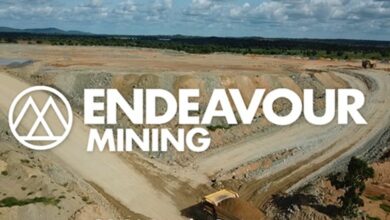 Endeavour reports strongest exploration year yet