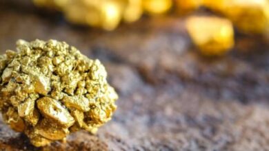 Tietto Minerals hits project-best intersection at AG Core deposit in Côte d’Ivoire