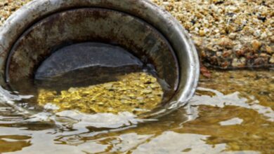 Montage Gold Corp. to release feasibility study results