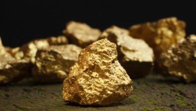 Guskin Gold inks joint venture, partnership agreement Danampco Company