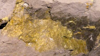 Blue Thunder provides large scale 2021 Exploration results, plans for 2022