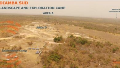 Study on Diamba Sud gold project in Senegal reveals positive result