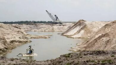 Algerian, Chinese firms sign US $7bn JV deal for phosphate mining