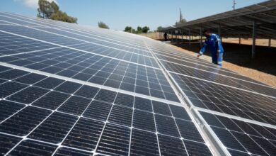 Bentley Park goes green with its own solar farm