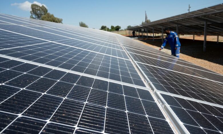 Bentley Park goes green with its own solar farm