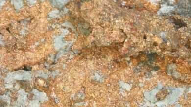 DRC court stops China Molybdenum from operating