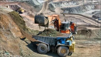 Segele project in Ethiopia progresses further