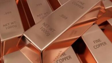 Anglo American lowers output guidance after quarterly drop