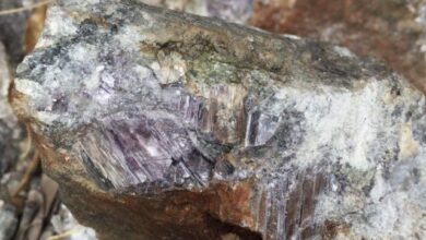 Premier African inks joint venture deal for Mutare lithium project