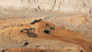 Coromandel to buy 45% stake in Senegal’s Baobab Mining and Chemicals Corporation