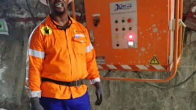 More local artisan skills developed at Venetia