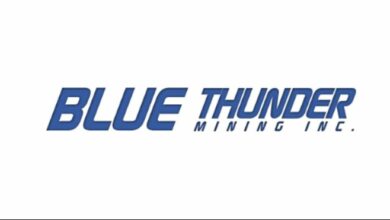 Blue Thunder Mining commits to ESG governance