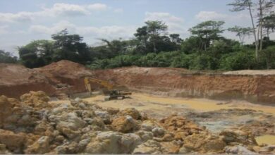 AROCHA and Partners reclaim degraded illegal mining lands