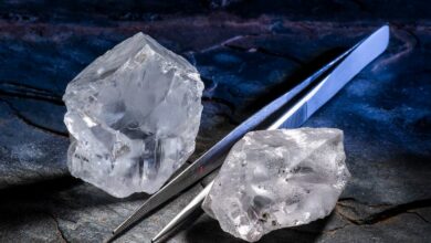 Angola seizes stake in Catoca