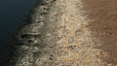 Zimbabwe warned against mortgaging mineral resources