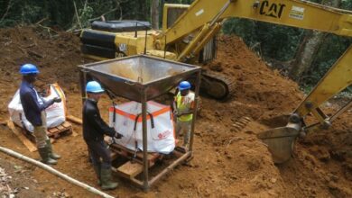 Genmin converts 100% of Bandjougoy DID iron ore resource to indicated category