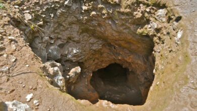 Court suspends CMOC marketing, production activities in DRC