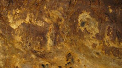 Contango in search of partners for Garalo gold project in Mali