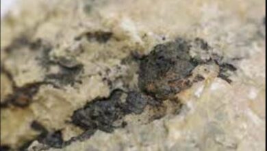 GoviEx provides Madaouela surface area tax update