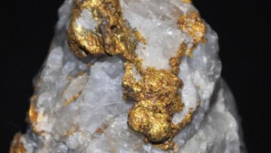Bank of Ghana to have first right of refusal for all gold mined
