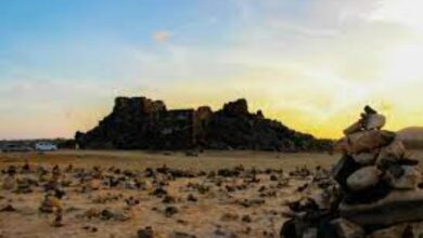 Hummingbird releases second quarter production results