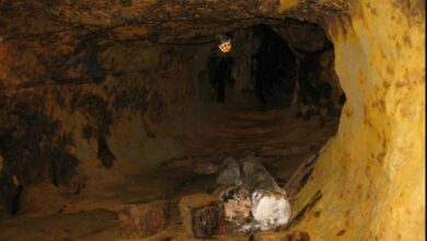 Four illegal mines suspended in Madagascar