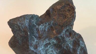 Africa’s largest nickel mine launched in Zambia