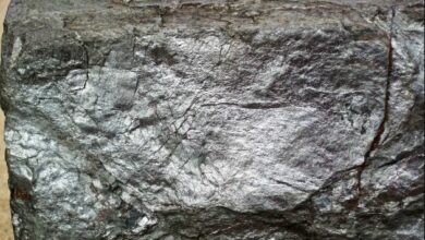 Genmin receives licence extension for iron ore exploration