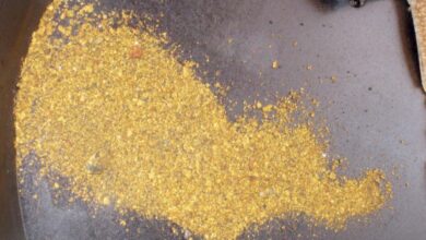 Toubani Resources issues update on auger drilling campaign at Kobada Gold Project