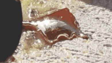 Kamoa Copper reports 34 408 t of copper floated in August