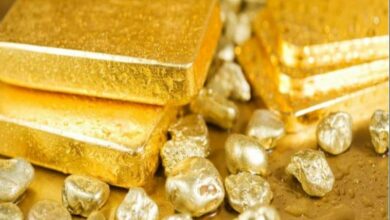 Katoro Gold to assess potential new projects