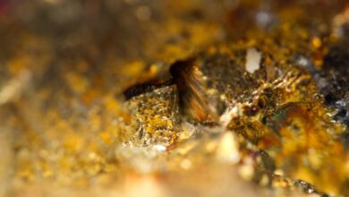 B2Gold projects further growth at Anaconda point in Mali